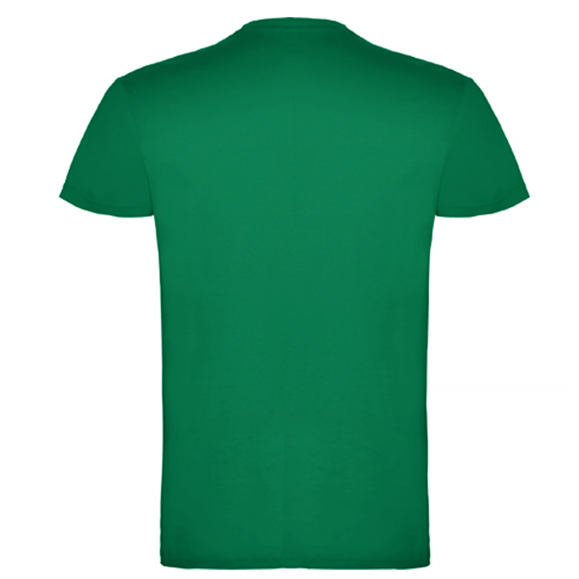 Футболка Beagle 155 - kelly green / 2XL
