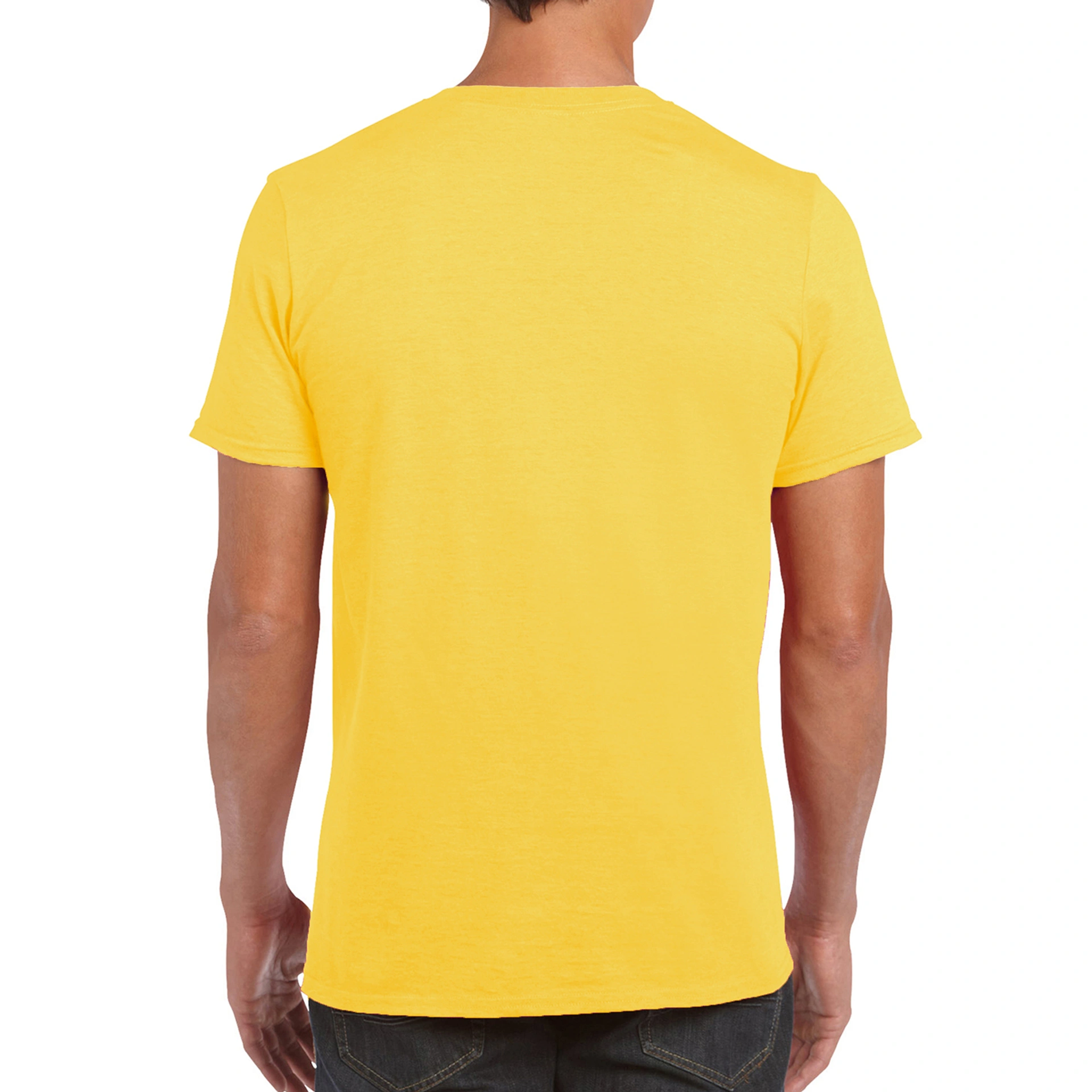 Футболка SoftStyle 153 - daisy / 2XL