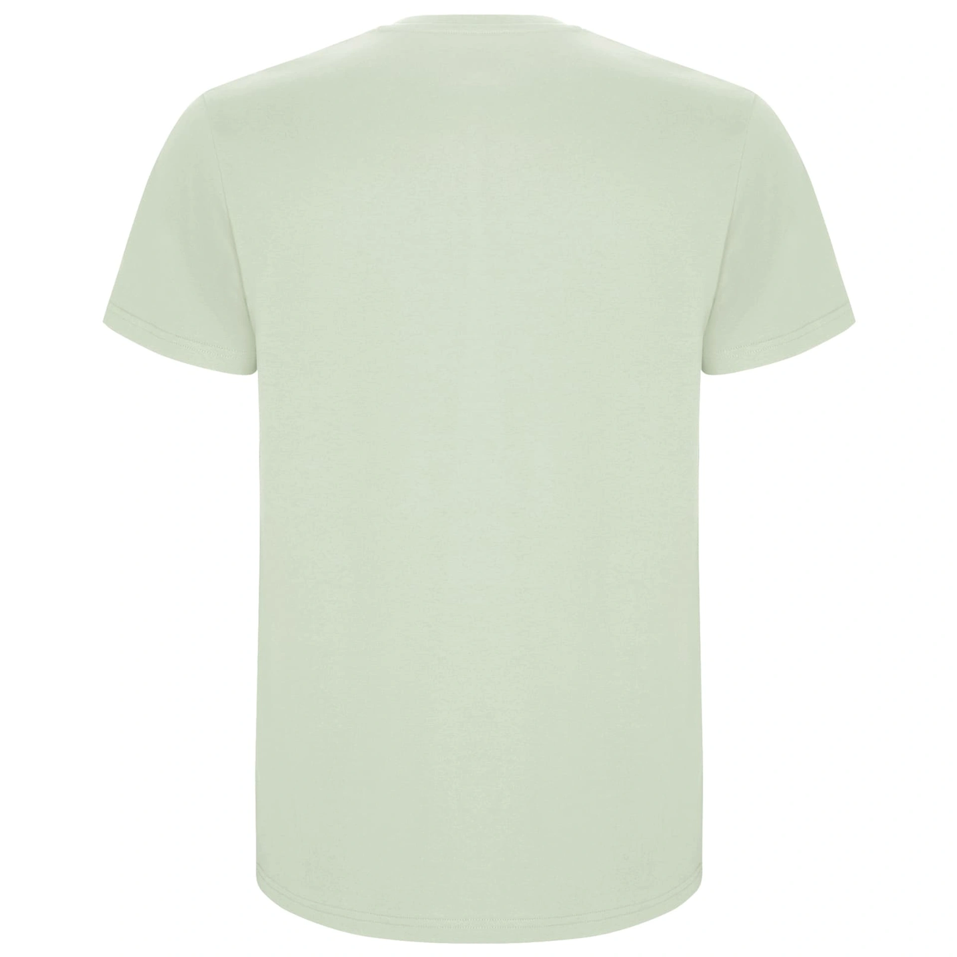 Футболка Stafford 190 - mist green / 2XL
