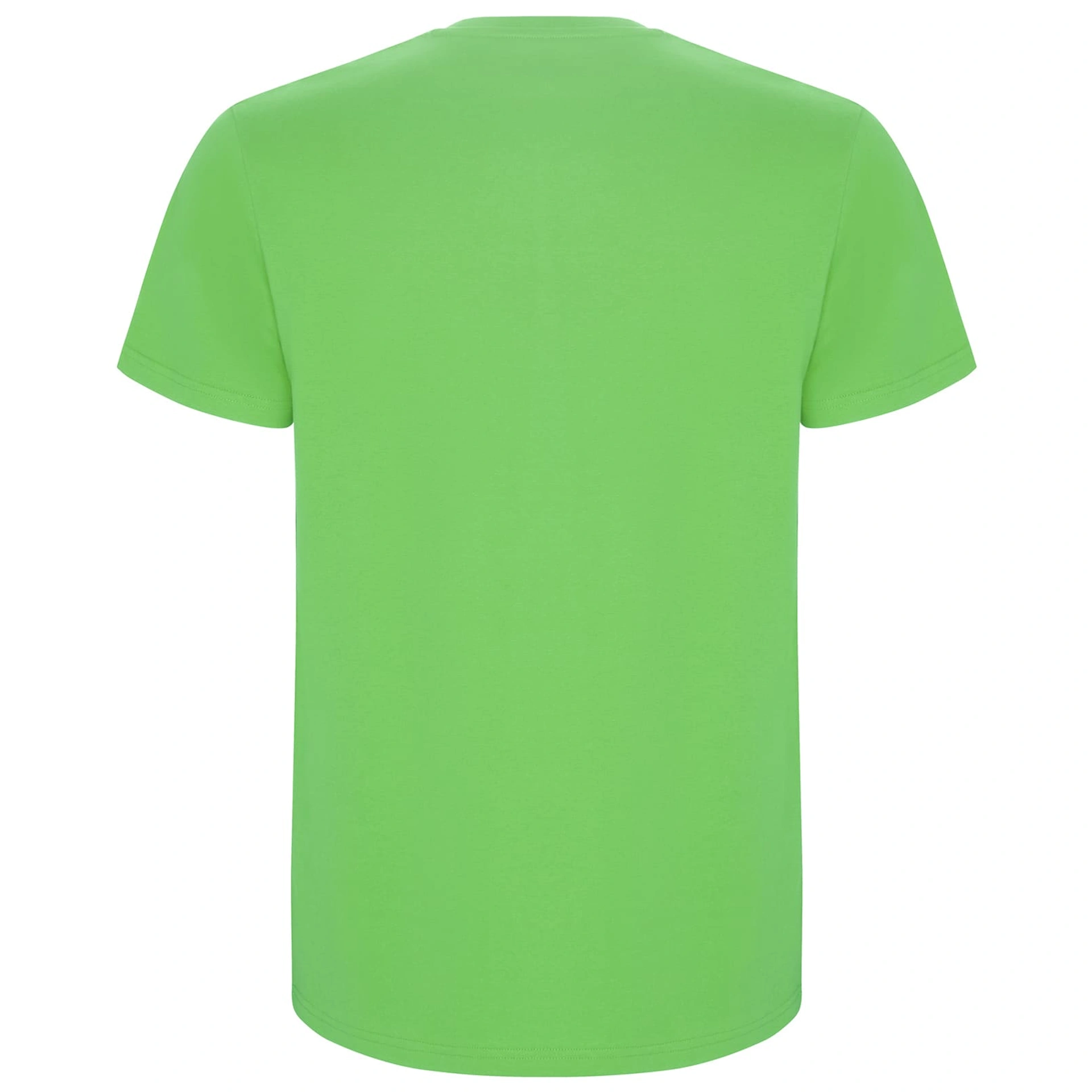 Футболка Stafford 190 - oasis green / 2XL