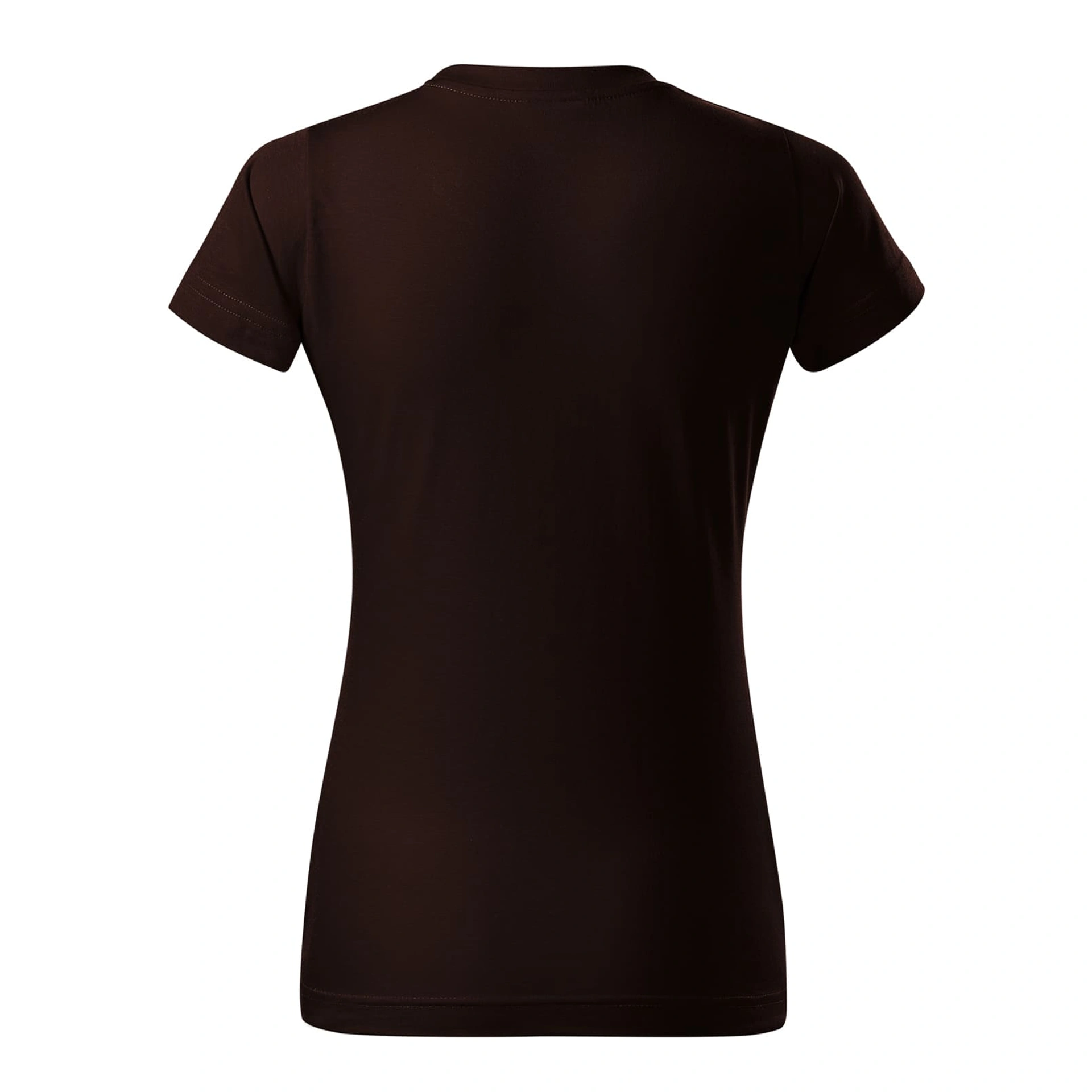 Футболка жіноча BASIC 160 - coffee / 2XL