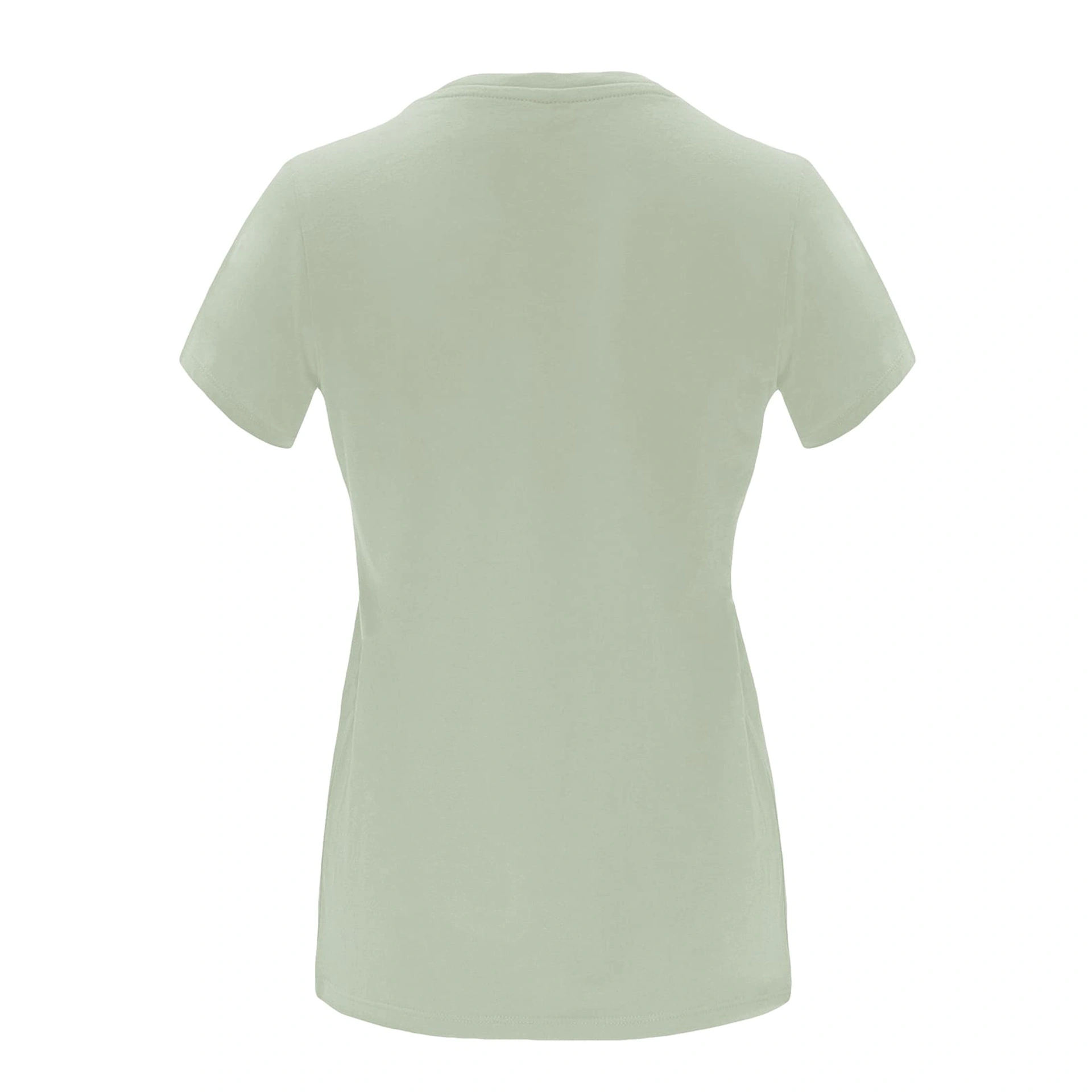 Футболка жіноча Capri 170 - mist green / 2XL