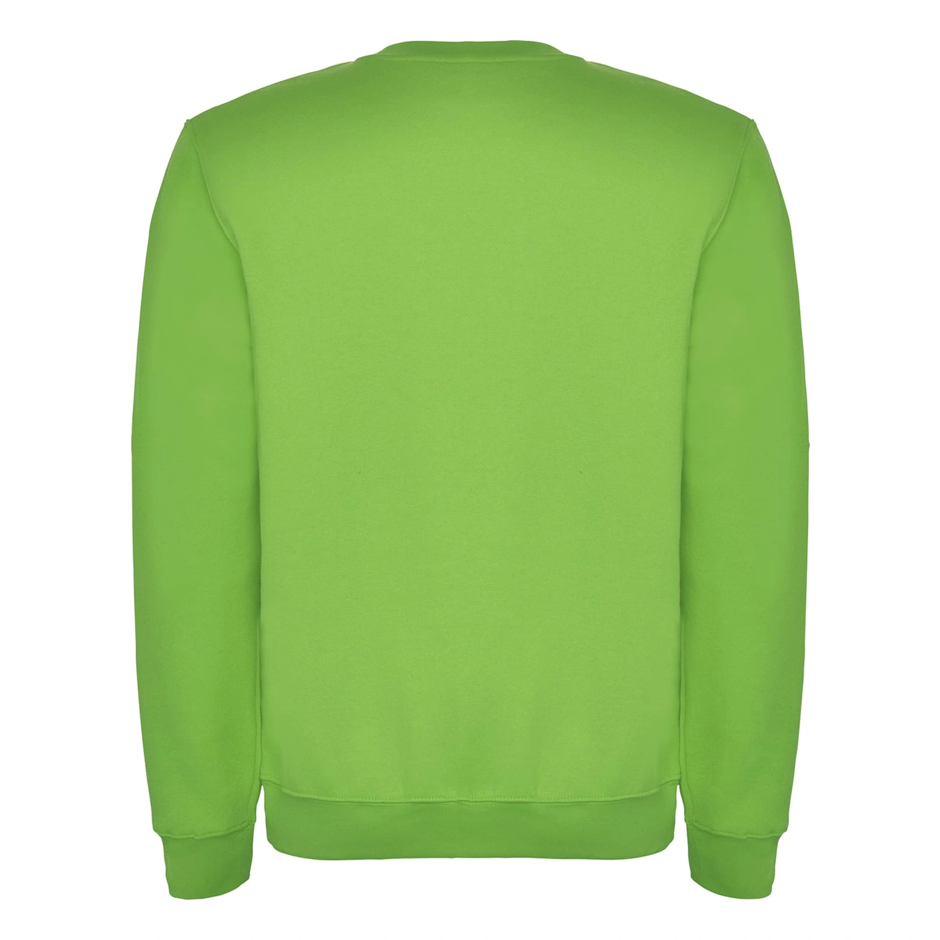 Реглан Clasica 280 ТМ Roly - oasis green / 2XL