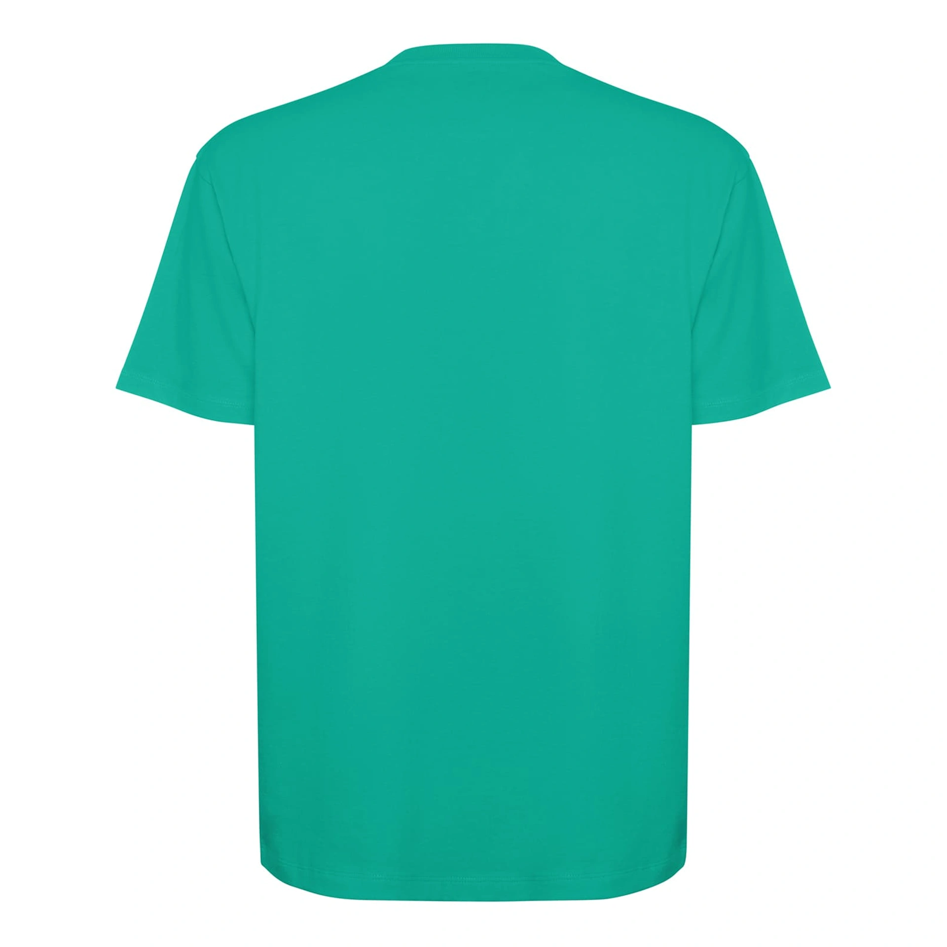 Футболка оверсайз Bull 210 - jade / 2XL