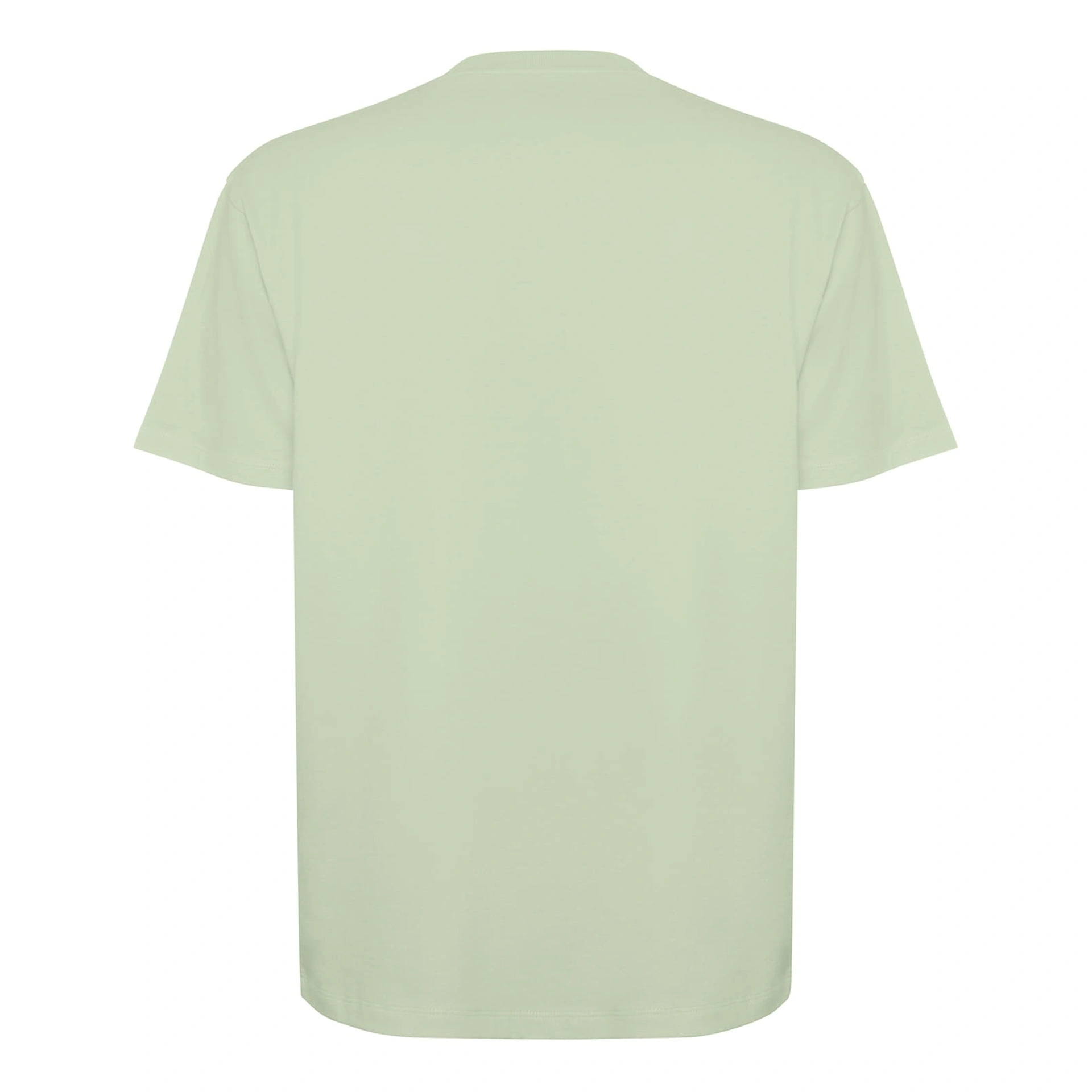 Футболка оверсайз Bull 210 - mist green / 2XL