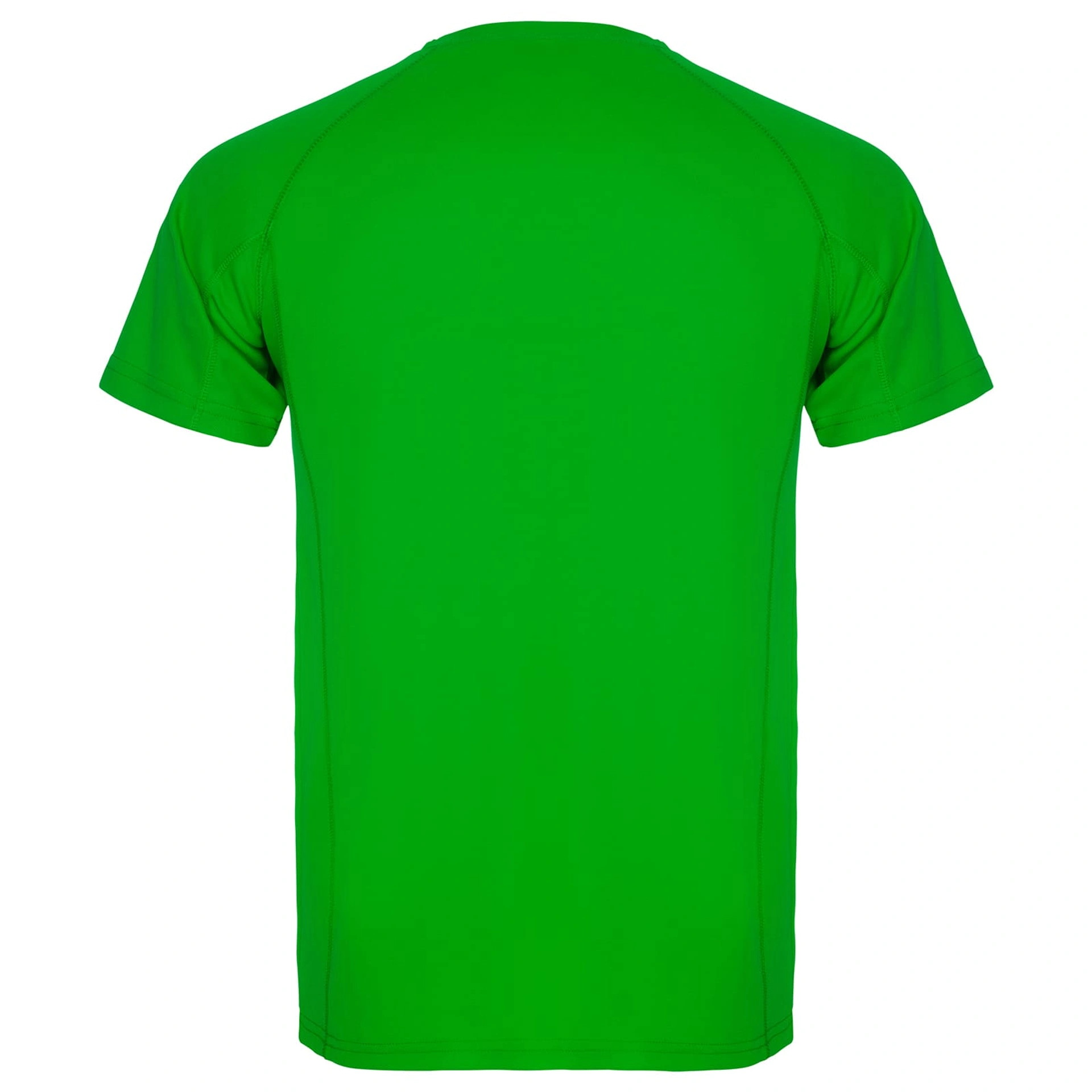Футболка Montecarlo 150 - fern green / 2XL
