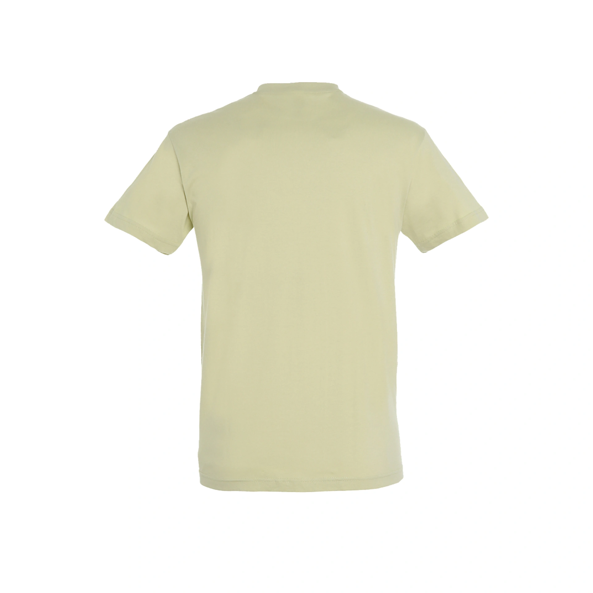 Футболка SOL'S Regent - Блідо-салатовий / 3XL